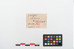Etikett zu Bronzemehrkopfnadel (NHMW-PRAE-024195)